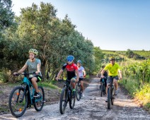 Olio di oliva bike tour - escursione guidata in e-bike tra colli e uliveti
