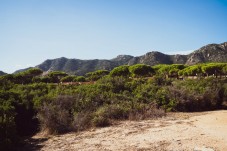 Fuga Romantica con Passeggiata a Cavallo in Sardegna