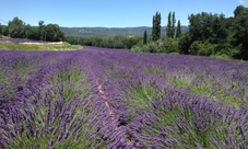 Avignon and the hilltop villages of Luberon from Aix en Provence