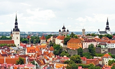 Tour privato a piedi della Città Vecchia di Tallinn