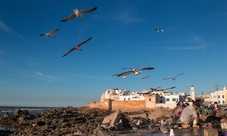 Day tour of Essaouira from Marrakech