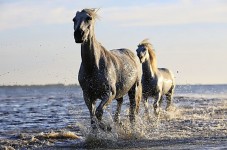 Vacanza Romantica nella splendida Sardegna