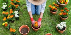 Corso Online Giardinaggio