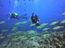 Open water diver a Santa Caterina