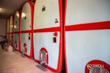 Visita al Vigneto e alla Cantina con Degustazione a Peccioli