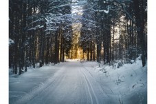 Buono Regalo: Weekend Magico in Val di Funes: 2 Notti e Ciaspolata ai piedi delle Odle