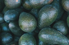 Regala Albero di Avocado