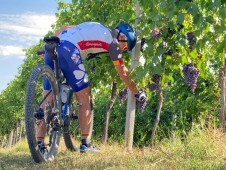 Bike tour tra borghi e giardini in fiore, nel basso Lago di Garda