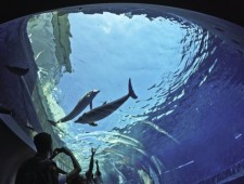 Soggiorno premio di coppia a Genova & Acquario Experience