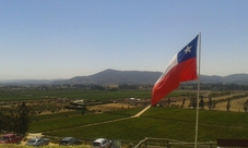 Chilean Vineyards and Wine Tour: Casas del Bosque & Indomita