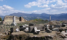 Pompei e Sorrento: tour privato di un giorno da Napoli