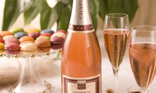Full day tour in Champagne