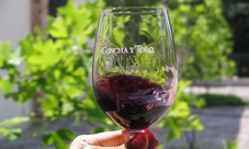 Classic Wineries of Chile Tour: Concha y Toro & Santa Rita