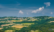 Private bike tour in Barolo with wine tasting and light lunch