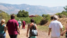 Degustazione in Cantina Planeta sull'Etna