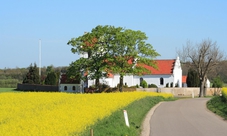 Tour dei castelli reali, partendo da Copenhagen