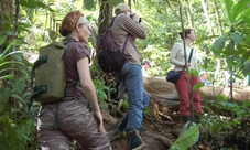 Tour Parco Nazionale del Tortuguero | San José