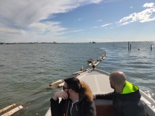 Segreti Della Laguna: Tour Dell’acquacoltura A Chioggia