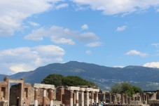 Tour di Pompei e del Vesuvio con biglietti d'ingresso, pranzo e degustazione di vini