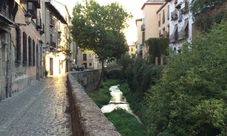 Guided tour of Granada: Into the Nasrid life