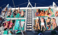 Dolphins and Whales Watching in Madeira