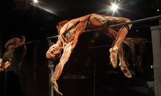 Amsterdam biglietto Body Worlds e crociera sui canali