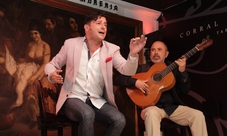 Flamenco show at Corral de la Morería in Madrid