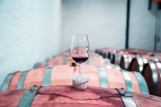 Tour e Degustazione 2 vini a scelta