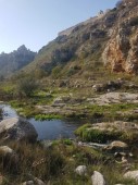 Passeggiata sul Pony in Basilicata 