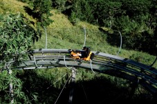 Foresta Nera in Famiglia: Magia, Natura e Avventura per 4