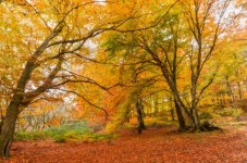 Giornata al Parco dei Monti Cimini 