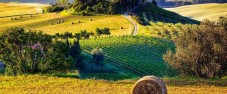 Tour Enogastronomico Toscana gruppo 7 persone 