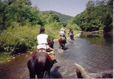 Lezione di equitazione