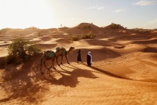 Safari nel Deserto con Cena tra le Dune Dorate