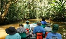 Tour Parco Nazionale del Tortuguero | San José