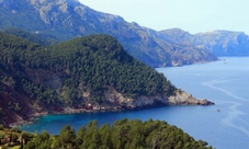 Mallorca guided tour with lunch and transport