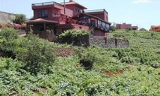 Grapeline experience wine tasting tour with lunch