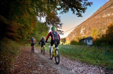 Bike tour tra Bardolino e Marzemino