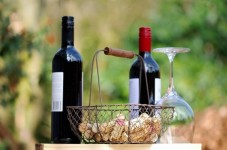 Degustazione Vini con Menù della cantina