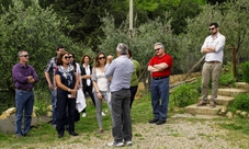 Tour di un giorno in Toscana tra Chianti, Siena e San Gimignano