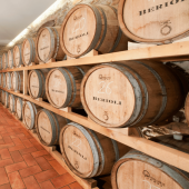 Scopri i Sapori dell’Umbria: Degustazione Vini a Perugia e Lago Trasimeno