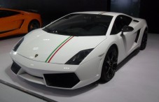Buono Guida Sportiva 149€