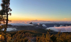 Gran Canaria Summits and Roque Nublo guided tour