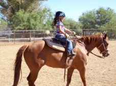 Lezione di equitazione di base