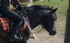 Passeggiata a Cavallo di 1 ora - 2 Persone