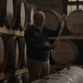 Scopri i Sapori dell’Umbria: Degustazione Vini a Perugia e Lago Trasimeno