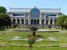 Tour in segway di Colonia