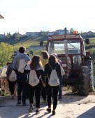 Tour Gastronomico San Damiano 