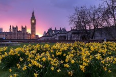 Tour alla scoperta delle strade e dei fiumi di Londra