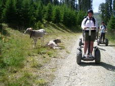 Tour panoramico in segway a Innsbruck
